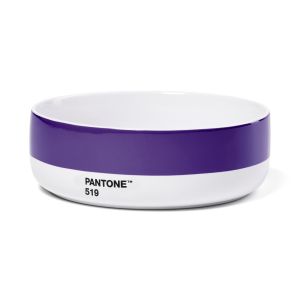 PANTONE Soup Bowl Violet 519