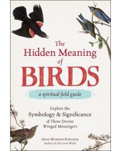 The Hidden Meaning of Birds: A Spiritual Field Guide