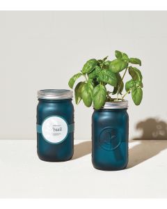 Basil Grow Jar