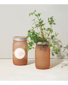 Parsley Grow Jar