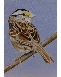 Debra Buchanan - "Bird Series #2" Oil Painting