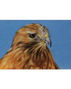 Debra Buchanan - "Bird Series #4" Oil Painting