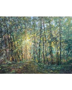 Patricia Rhoden Bartels - "Forest Illuminated" Oil Painting