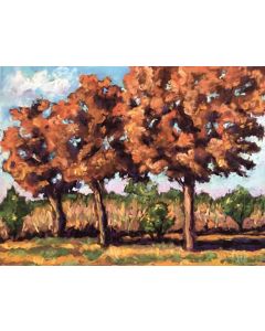 Mary Jane Erard - "Fallen Timbers Trees" Pastel Drawing