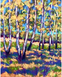 Mary Jane Erard - "Birch Trees Ohio II" Pastel Drawing