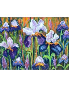 Mary Jane Erard - "Irises" Pastel Drawing