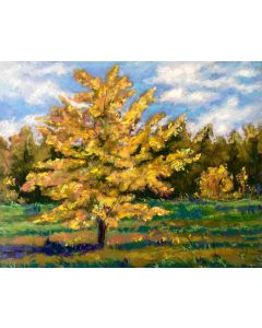 Mary Jane Erard - "Maumee Autumn Trees" Pastel Drawing