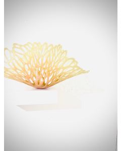 Lauren Eastman Fowler - "Coral Bloom Y2" Glass Sculpture