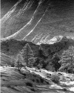 Richard Malogorski - "Mountainside, Zion National Park" Photograph
