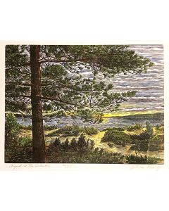 Sylvia Pixley - "August at the Lake #2" Woodcut and Watercolor