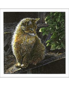 Sylvia Pixley - "Cat, Porch Steps #2" Woodcut and Watercolor