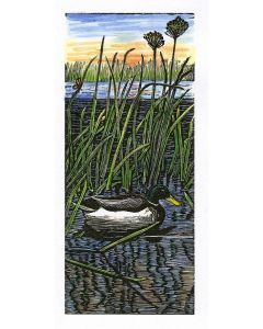 Sylvia Pixley - "Weeds and Duck #2A" Woodcut and Watercolor