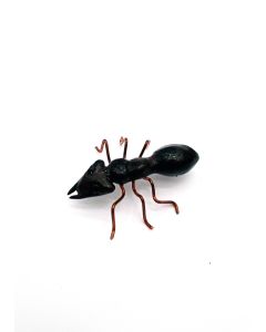 Jordy R. Poma - "Ant" Ceramic Sculpture
