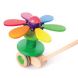 Bajo Flower Rainbow Push Toy