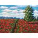  Mary Jane Erard - "Poppy Field Pathway" Soft Pastel Painting