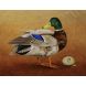 Debra Buchanan - "Bird Series #16" Oil Painting