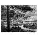 Sylvia Pixley - "August at the Lake #1" Woodcut