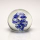 Marc VandenBerg - Glass Paperweight