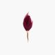 Match Me Feather Plum Thicket Pin