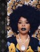 Muse: Mickalene Thomas Photographs