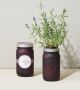 Lavender Grow Jar