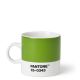 PANTONE Espresso Cup Greenery 15-0343