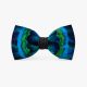 Tower Junction Feather Bow Tie